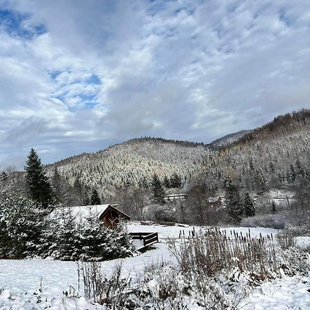 Pod Dobrym Adresem-Domek Na Lace Cisna Exteriör bild