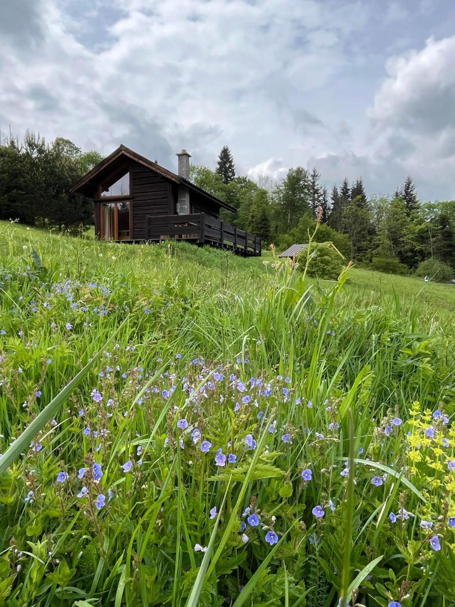 Pod Dobrym Adresem-Domek Na Lace Cisna Exteriör bild
