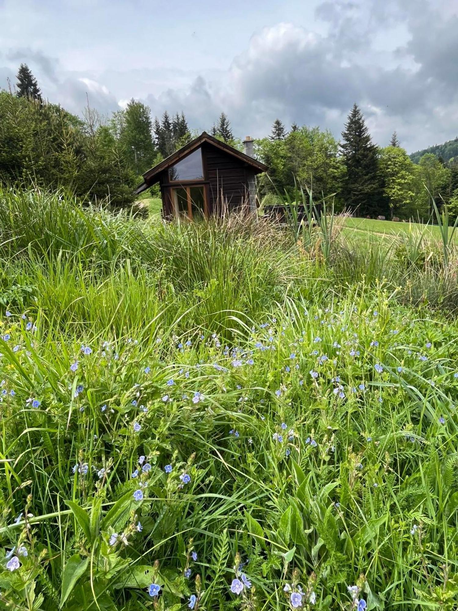 Pod Dobrym Adresem-Domek Na Lace Cisna Exteriör bild